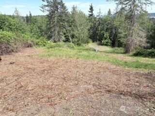 495 Louella Road Sequim, WA 98382 - Photo 5 of 39 a view of a forest with trees in the background