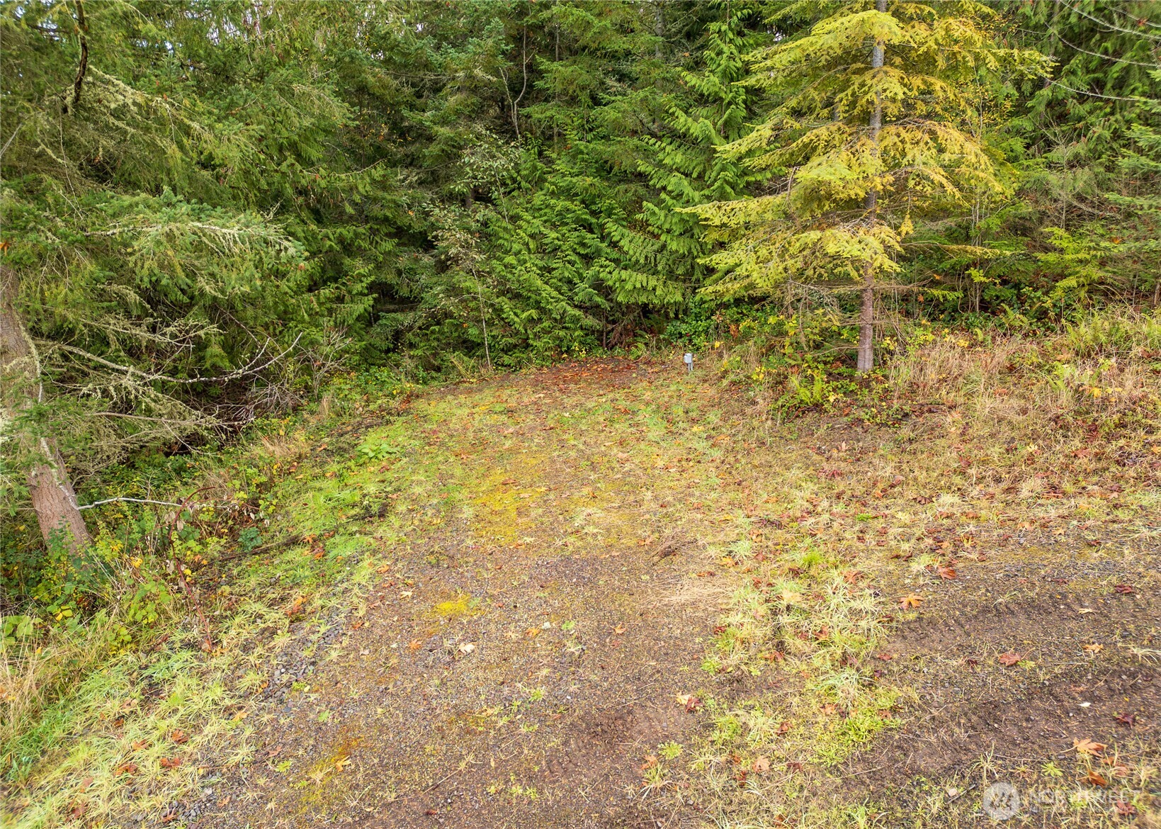 495 Louella Road Sequim, WA 98382 - Photo 5 of 35