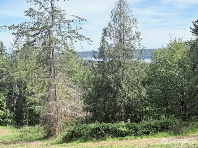 495 Louella Road Sequim, WA 98382 - Photo 6 of 39 a view of a yard with a tree