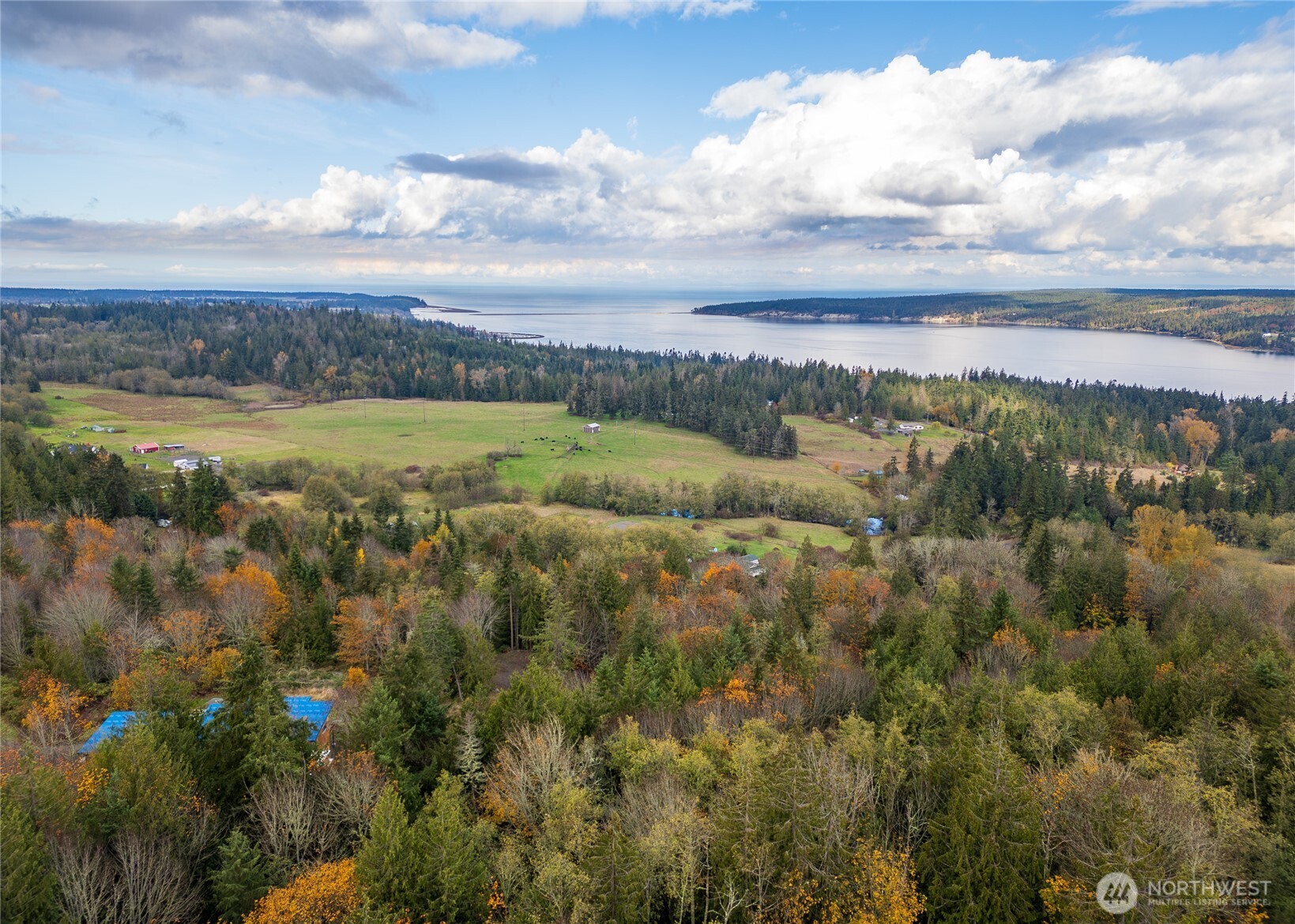 495 Louella Road Sequim, WA 98382 - Photo 7 of 35