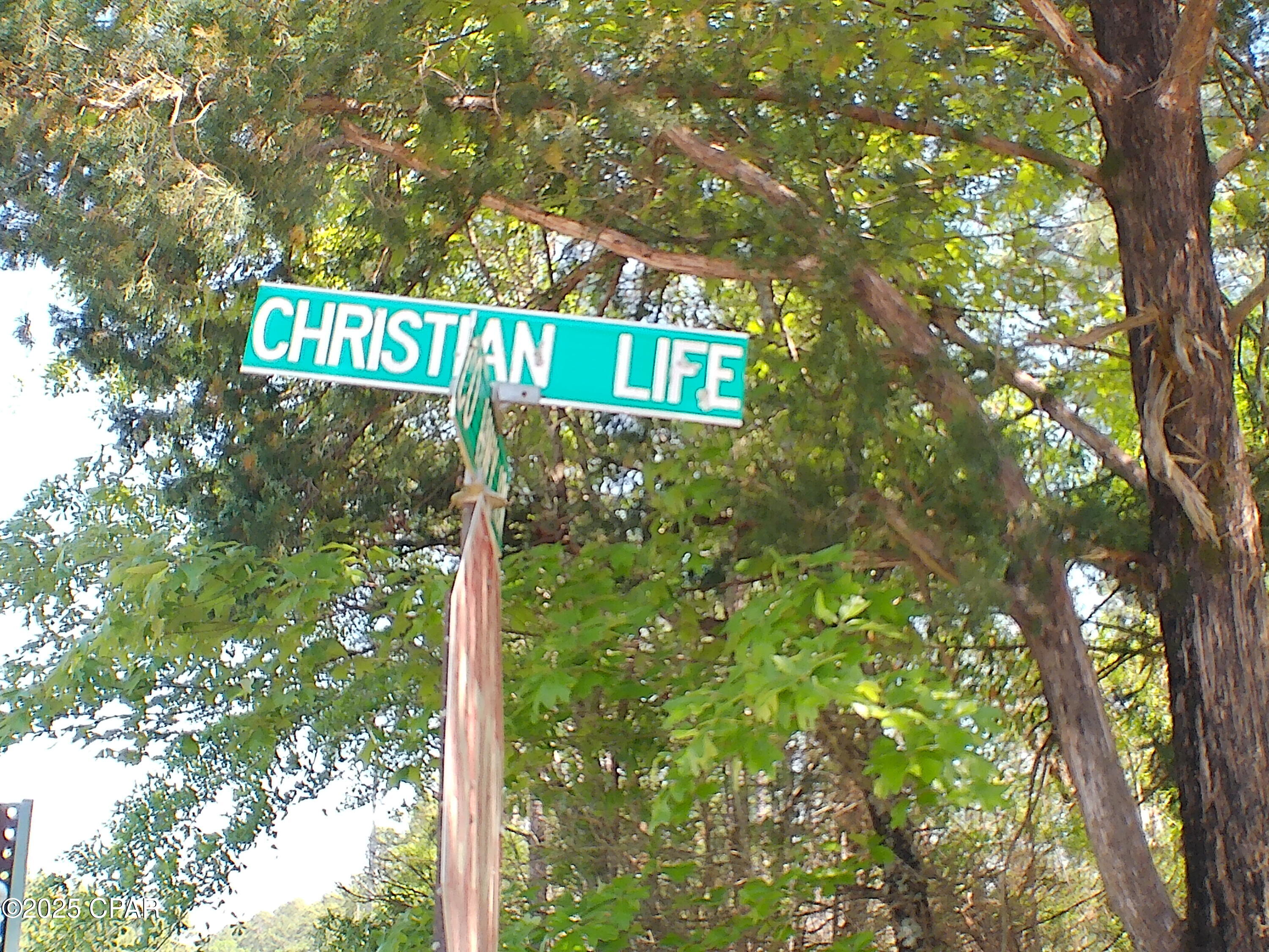 0 Christian Life Road, Unit 19 5 DeFuniak Springs, FL 32433 - Photo 3 of 21