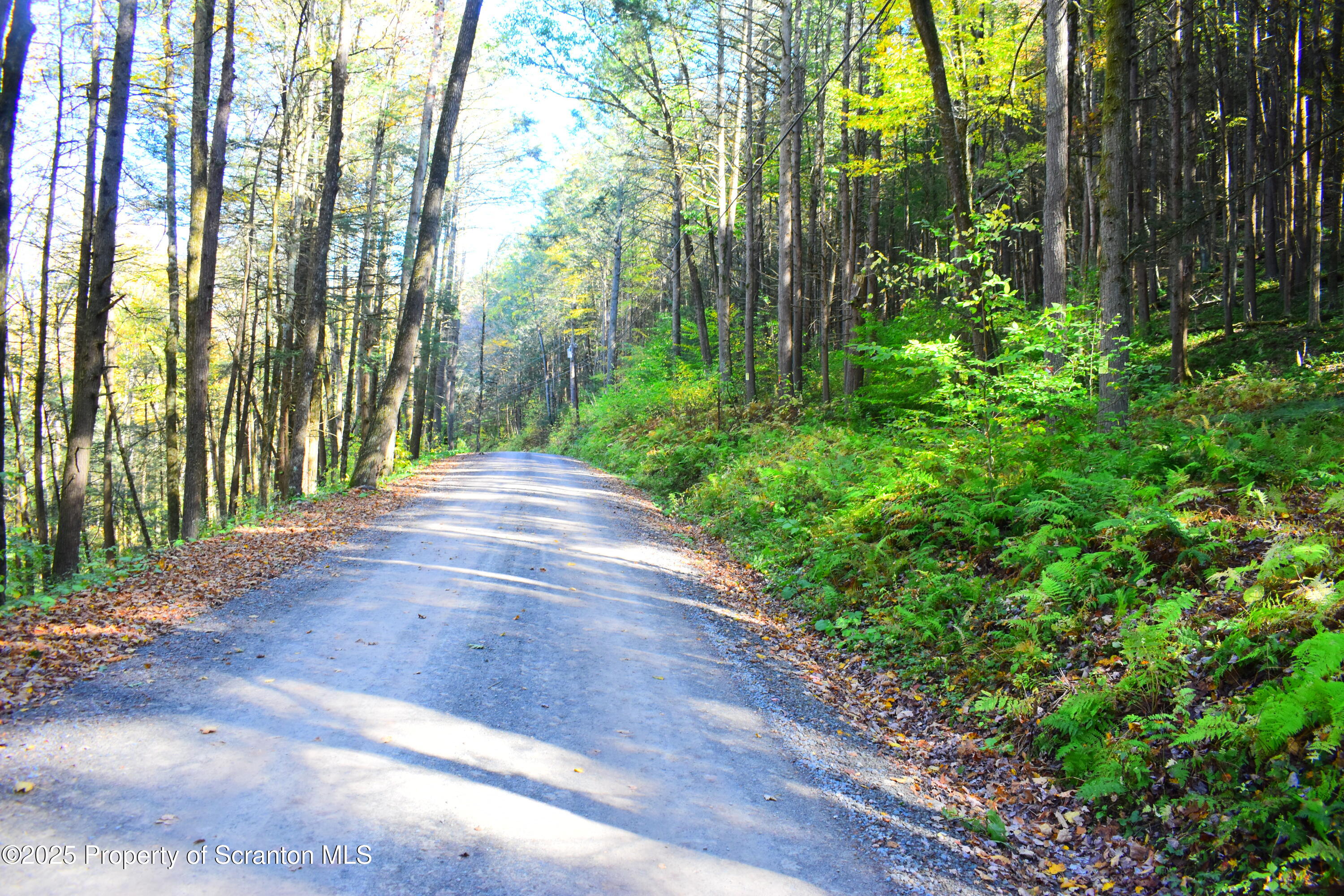 a view of backyard with green space