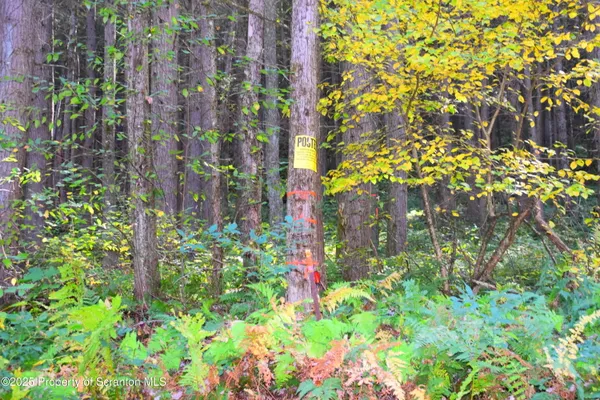 a backyard of a building with lots of flowers