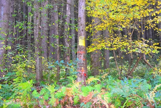 a backyard of a building with lots of flowers