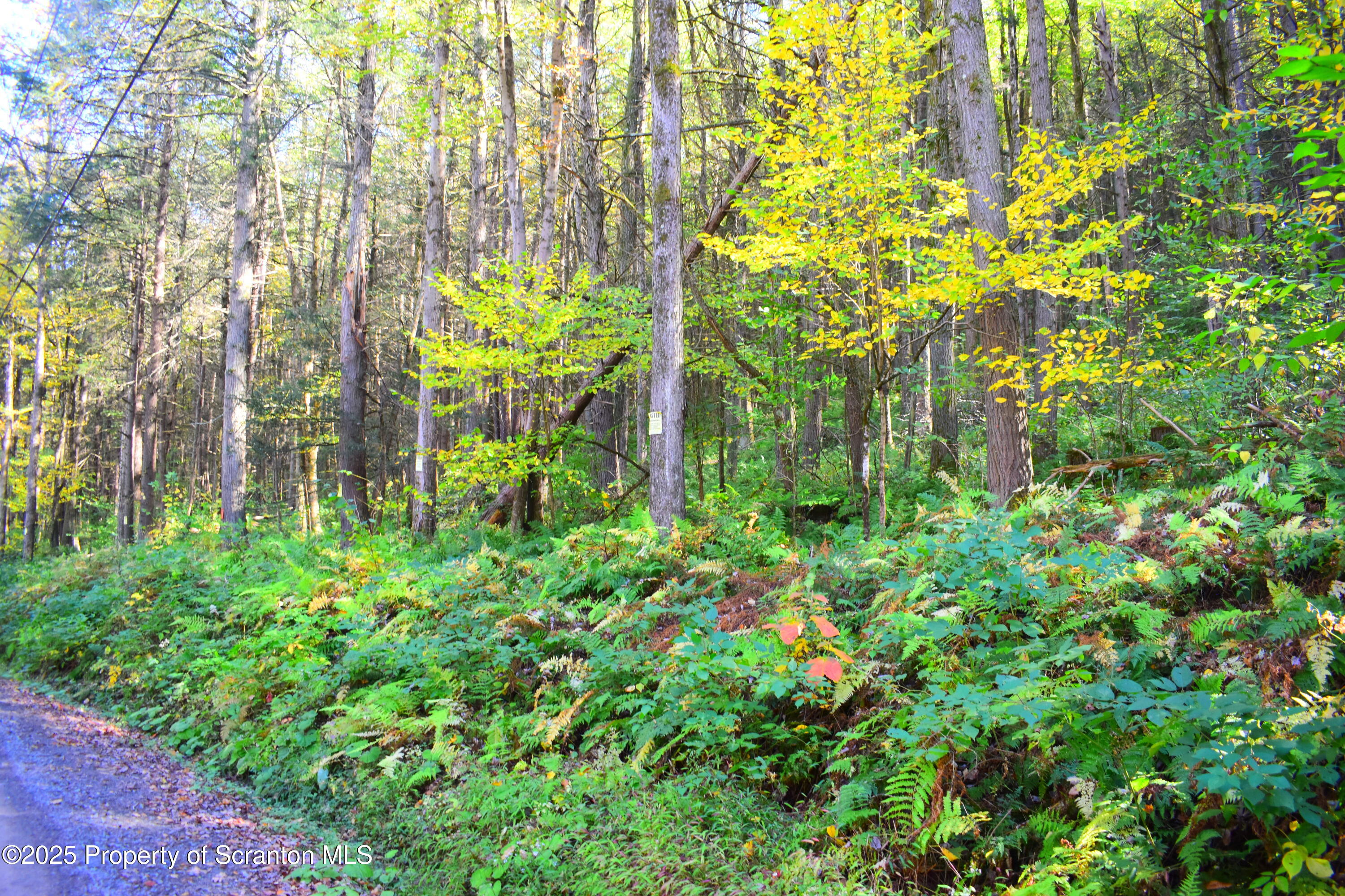 Graham Hollow Road Hallstead, PA 18822 - Photo 12 of 12 a plant view