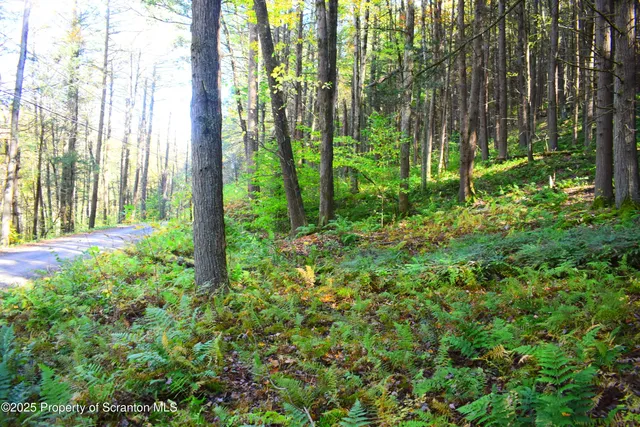 a view of outdoor space and garden view