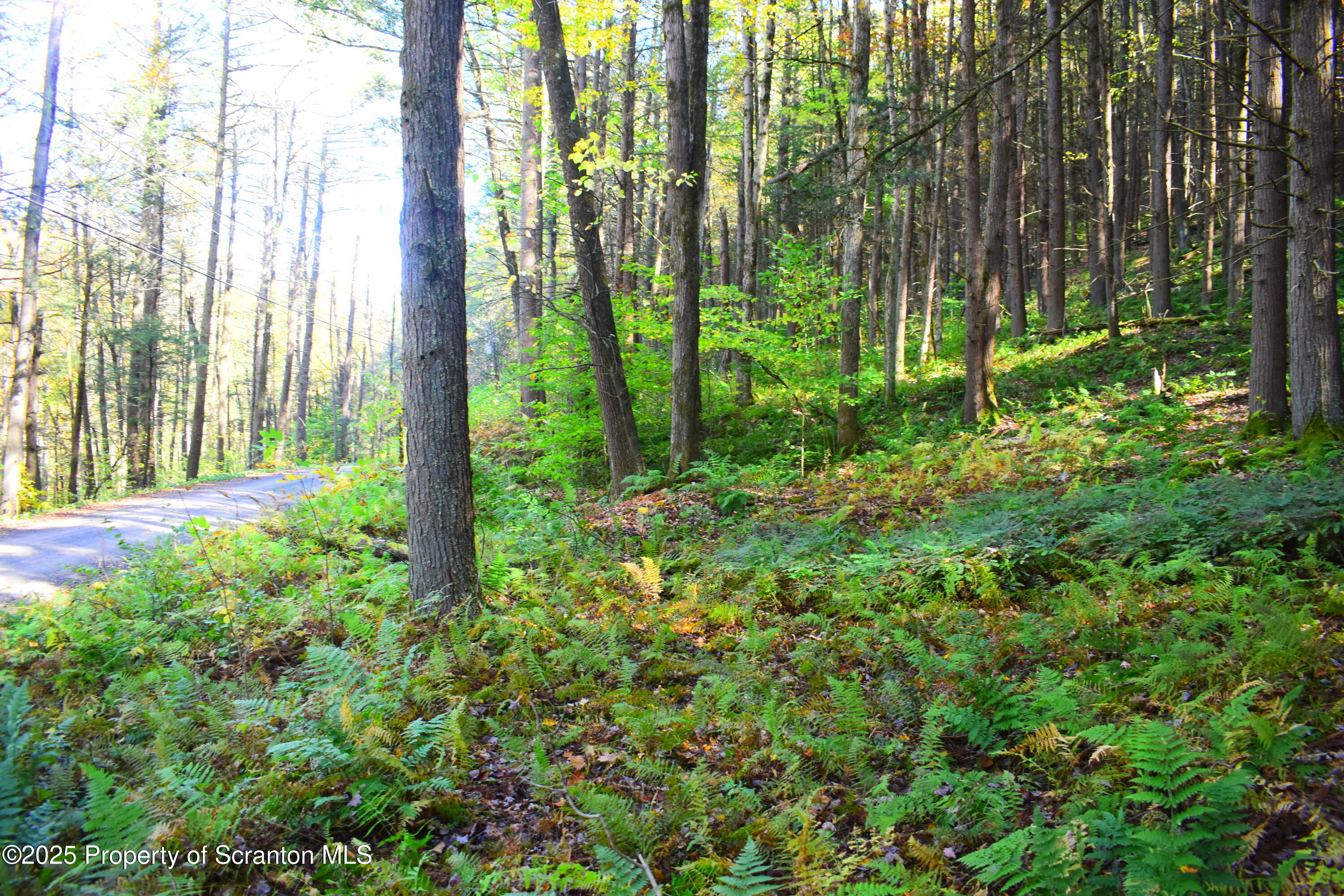 Graham Hollow Road Hallstead, PA 18822 - Photo 5 of 12 a view of outdoor space and garden view