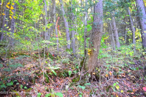 a backyard of a house with lots of green space and a fountain