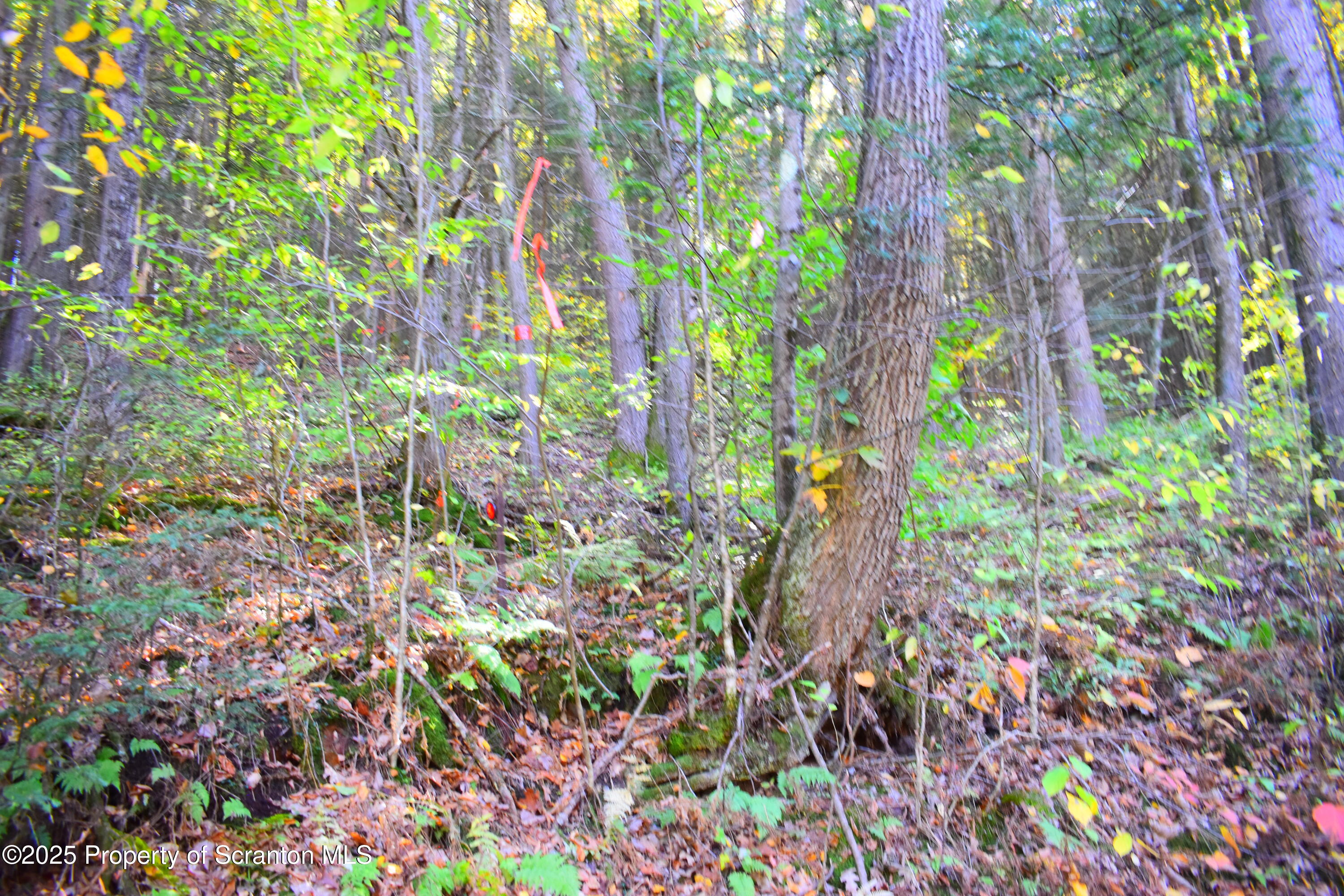 Graham Hollow Road Hallstead, PA 18822 - Photo 9 of 12 a backyard of a house with lots of green space and a fountain