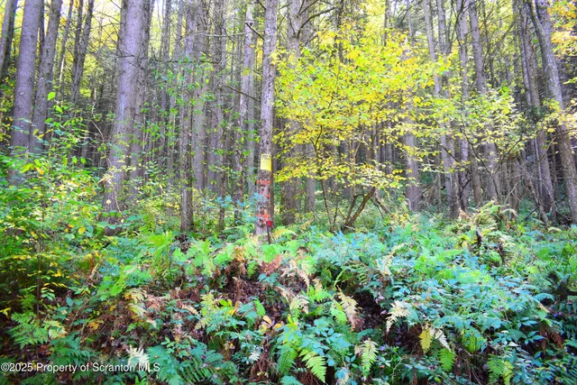 a backyard of a house with lots of green space and a fountain