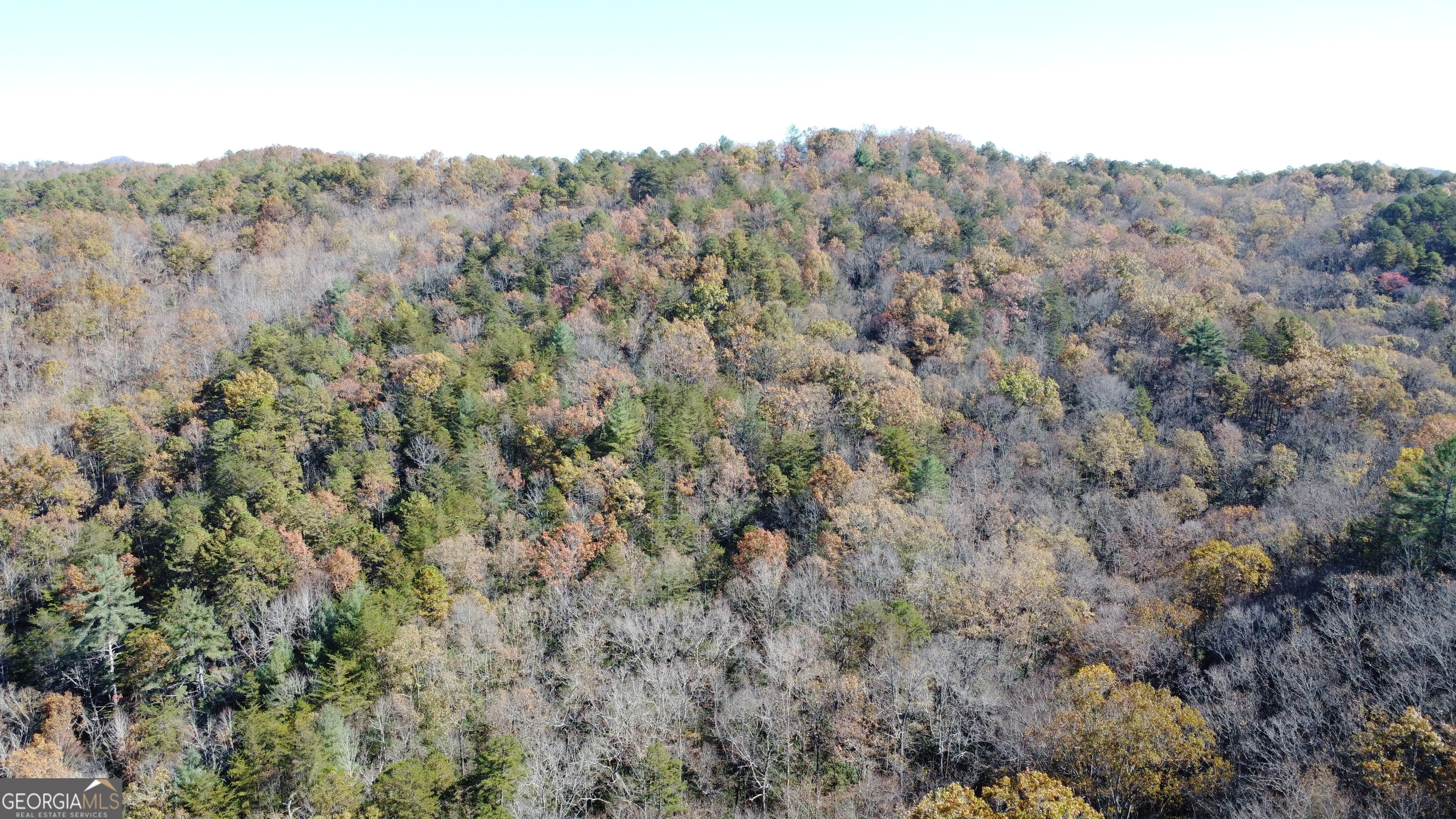 0 Benfield Lane Clarkesville, GA 30523 - Photo 6 of 9