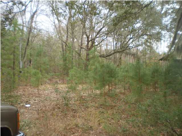 8051 Willtown Road Hollywood, SC 29449 - Photo 2 of 2 Additional Photo