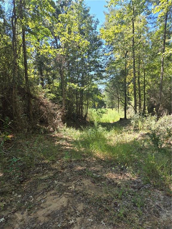 0 Riser Road Sikes, LA 71473 - Photo 2 of 5