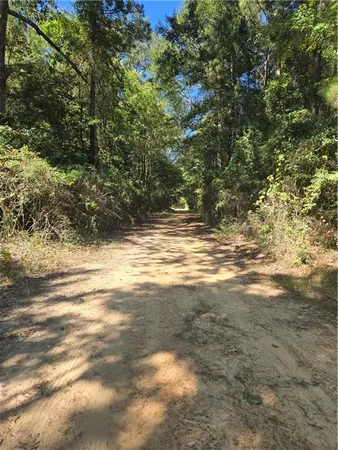 $37,500 | 0 Riser Road, Sikes, LA 71473