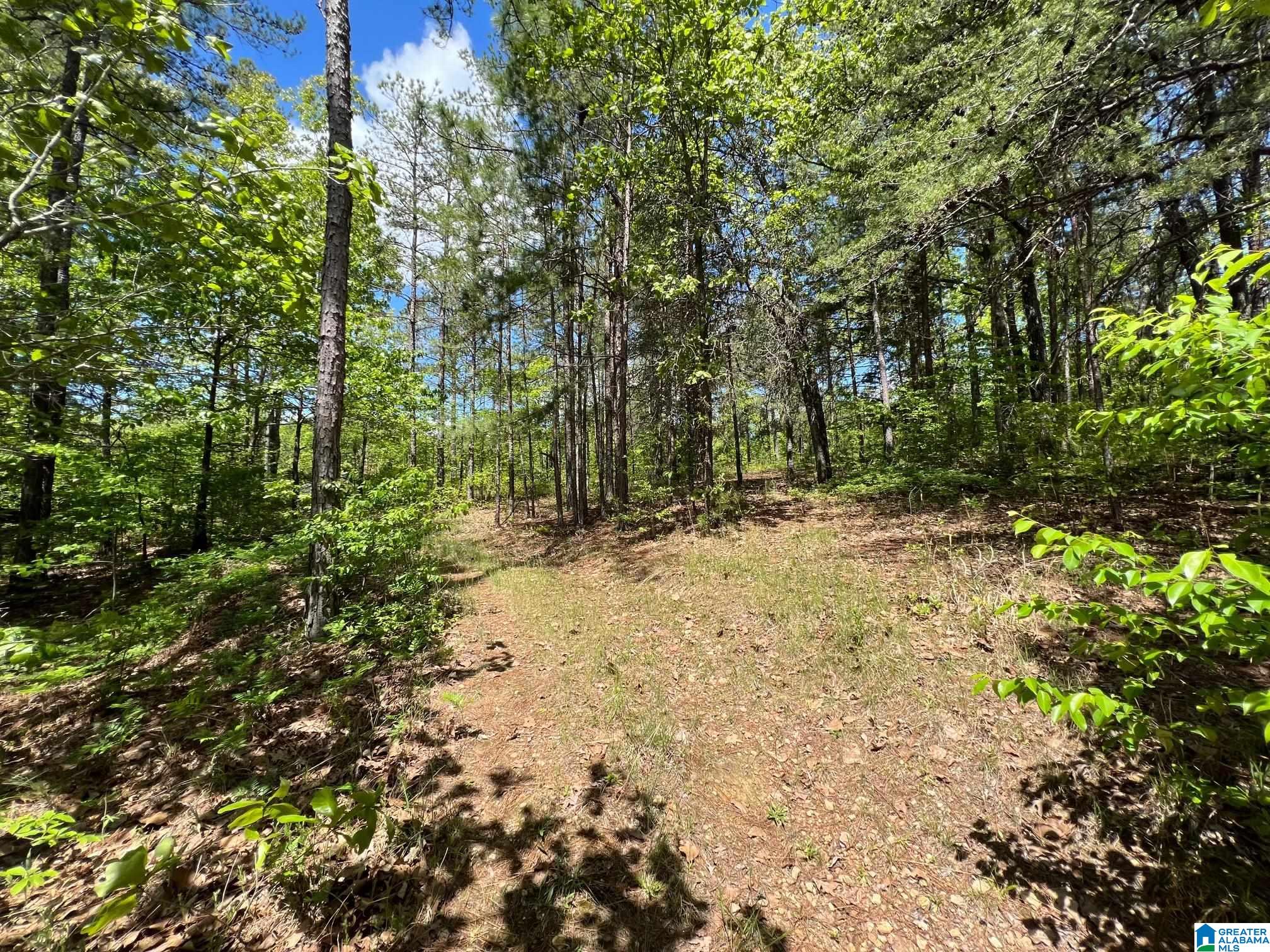 Blue Ridge Drive, Unit 1 Talladega, AL 35160 - Photo 14 of 16