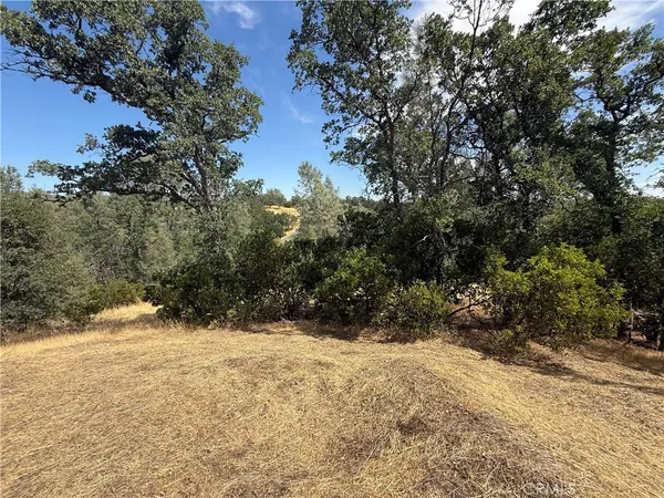 a view of a yard covered in snow