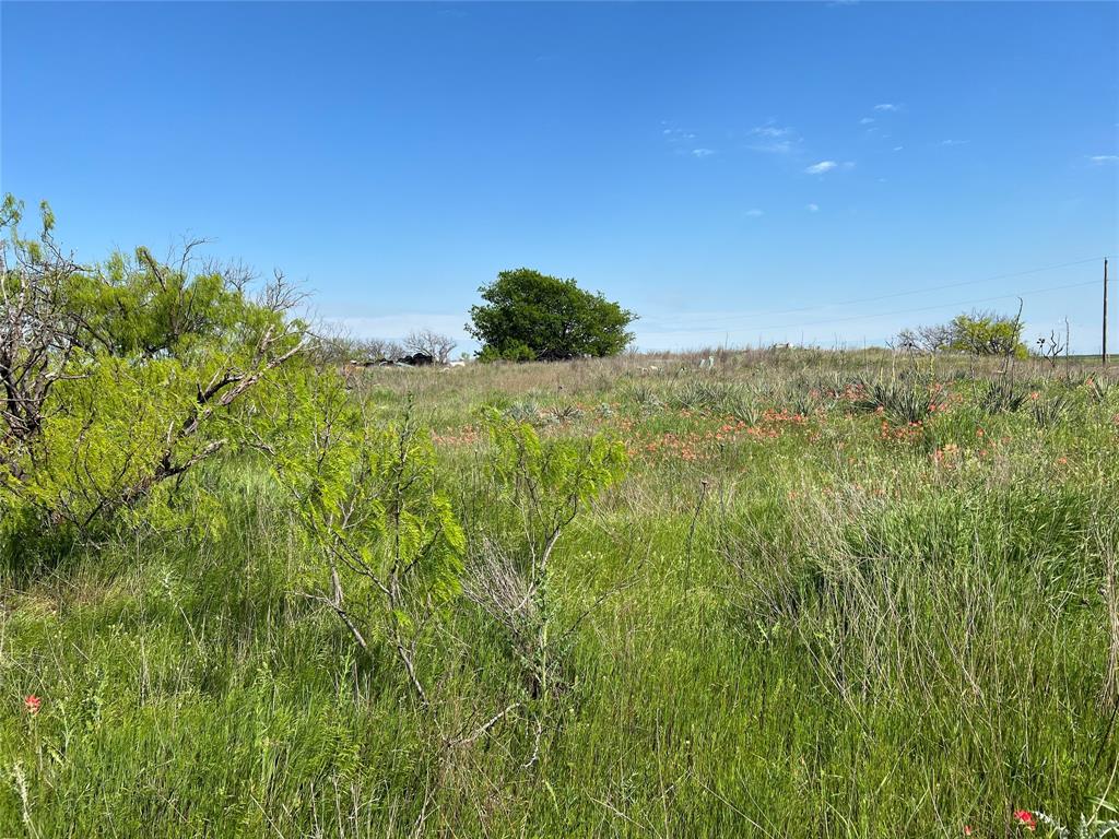 9315 Highway 79 Wichita Falls, TX 76310 - Photo 25 of 29 a view of a lush green space