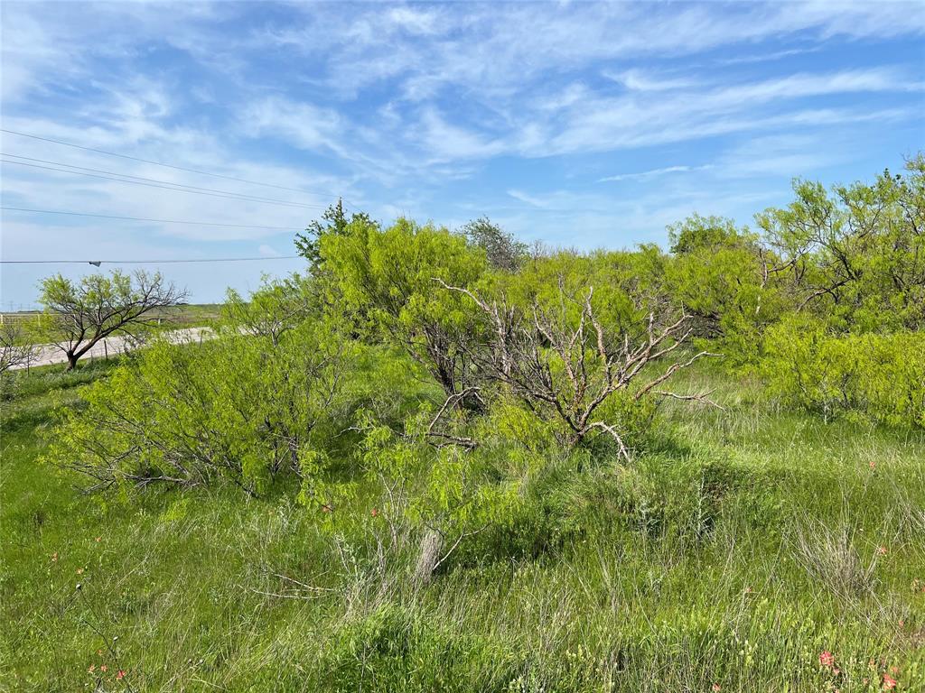 9315 Highway 79 Wichita Falls, TX 76310 - Photo 27 of 29 a view of a bunch of trees