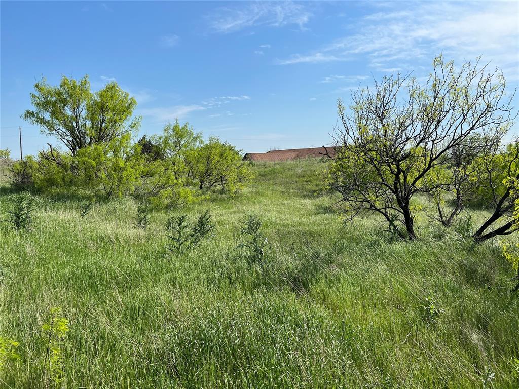 9315 Highway 79 Wichita Falls, TX 76310 - Photo 9 of 29 a view of a garden