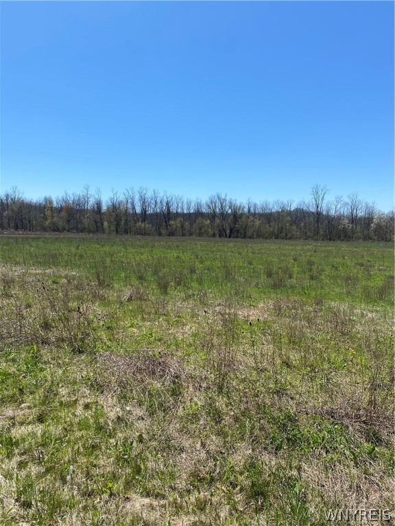 Vl Purdy Road Lockport, NY 14094 - Photo 1 of 1