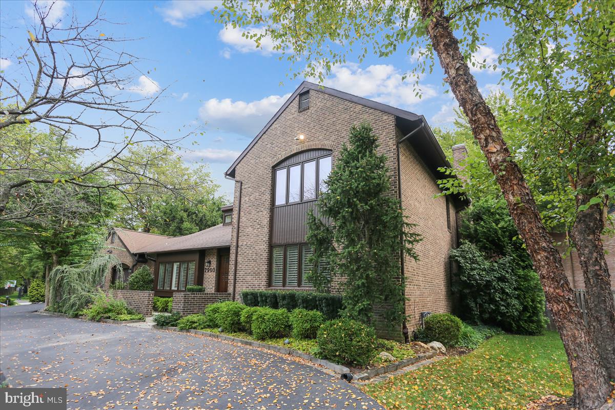 7903 Springer Road Bethesda, MD 20817 - Photo 72 of 83 yard has been professionally landscaped
