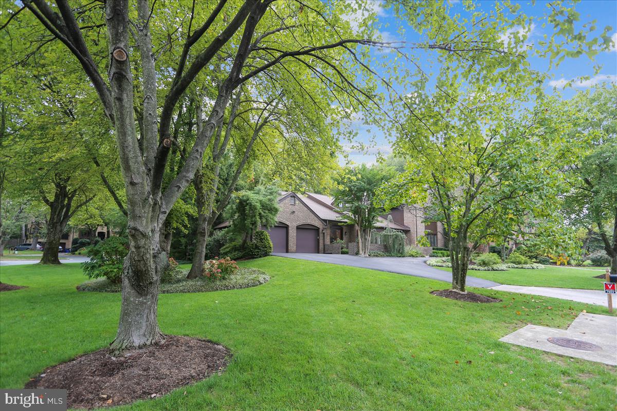 7903 Springer Road Bethesda, MD 20817 - Photo 75 of 83 view from the court corner