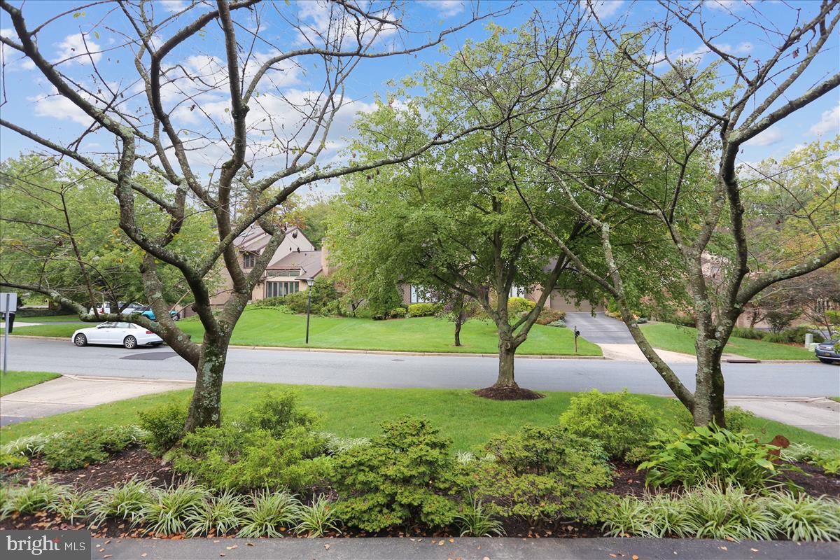 7903 Springer Road Bethesda, MD 20817 - Photo 77 of 83 professionally maintained landscaped yard
