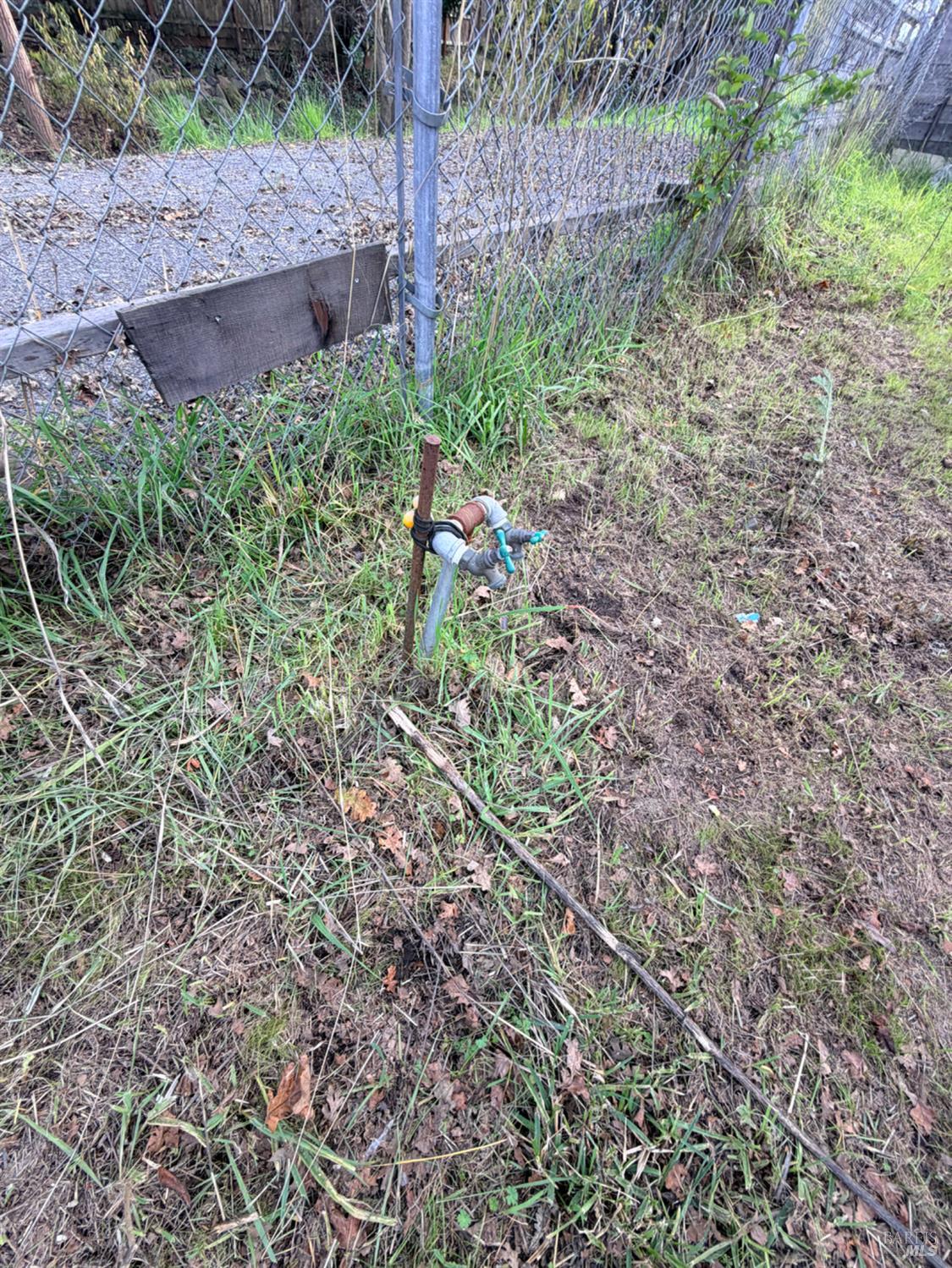 1863 Beachwood Drive Santa Rosa, CA 95407 - Photo 11 of 24 a view of a yard with plants and large trees