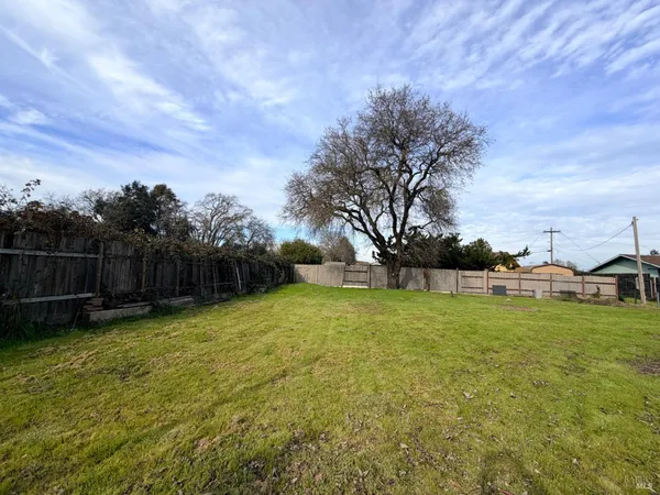 a view of a backyard