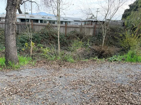 a view of a garden with a house