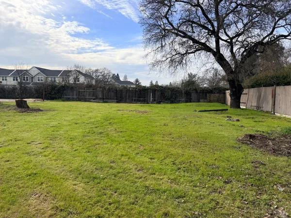 a view of a field with an trees