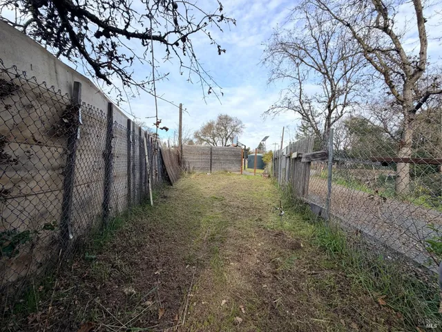 a view of a yard with large trees