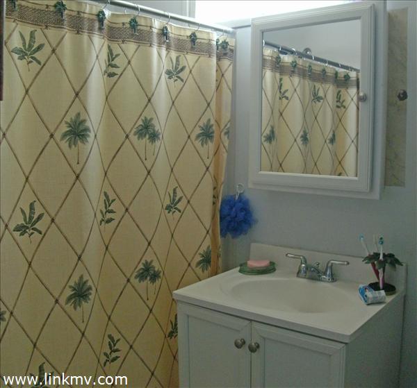 29 Chase Road Edgartown, MA 02539 - Photo 4 of 6 a bathroom with a sink and a shower curtain