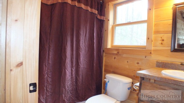8010 Big Ivy Road Purlear, NC 28665 - Photo 13 of 14