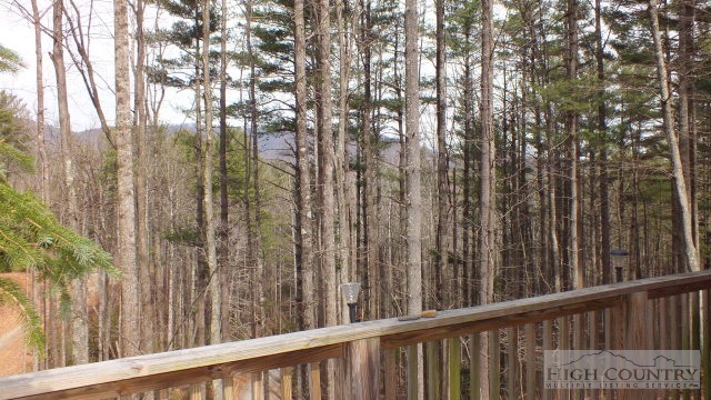 8010 Big Ivy Road Purlear, NC 28665 - Photo 5 of 14