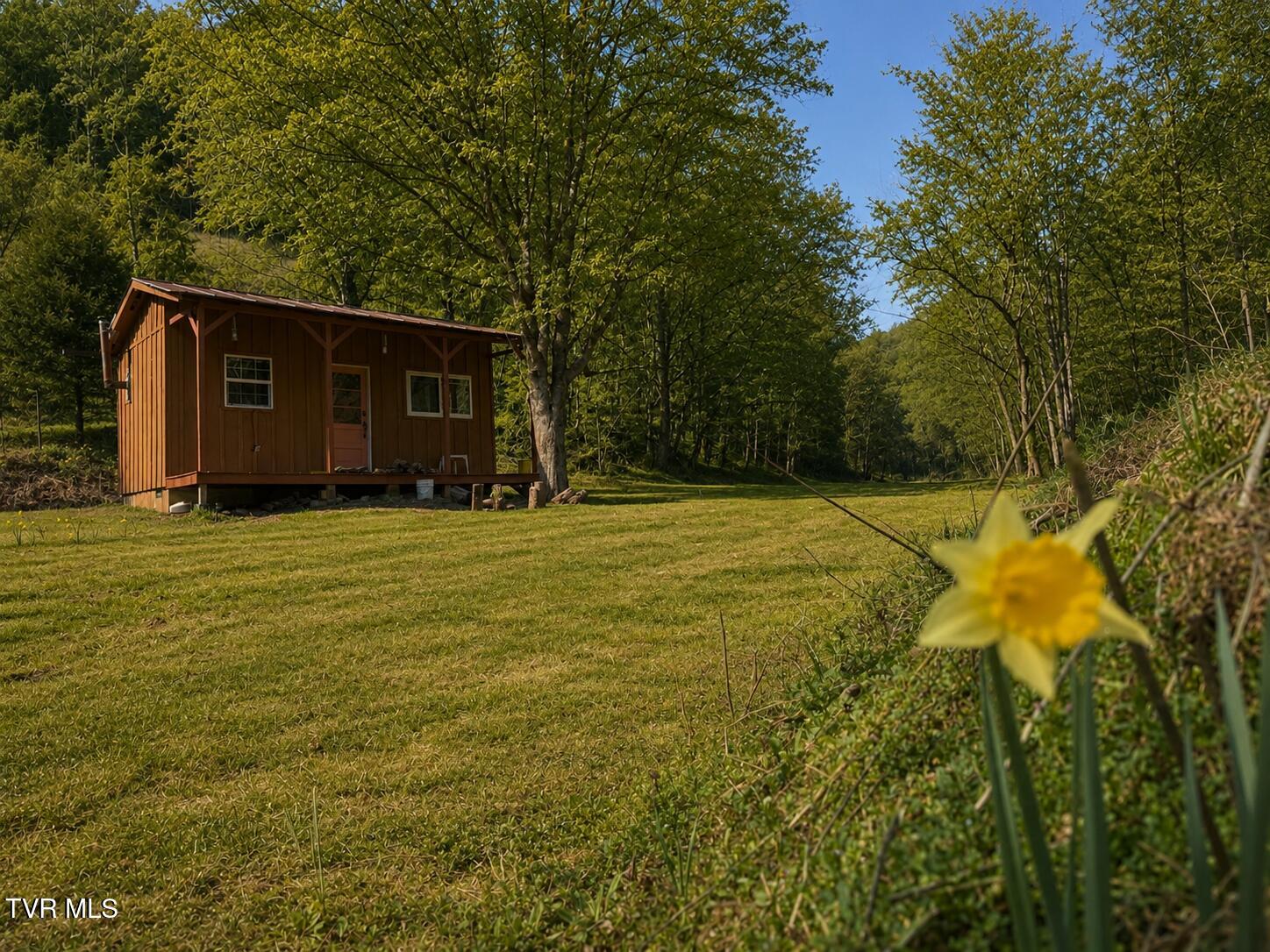 1499 Keesel Hollow Road Bybee, TN 37713 - Photo 10 of 39 _Pic10