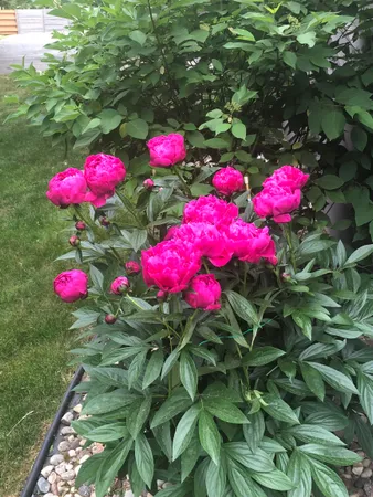 $274,900 | 841 East Windfield Place, Appleton, WI 54911