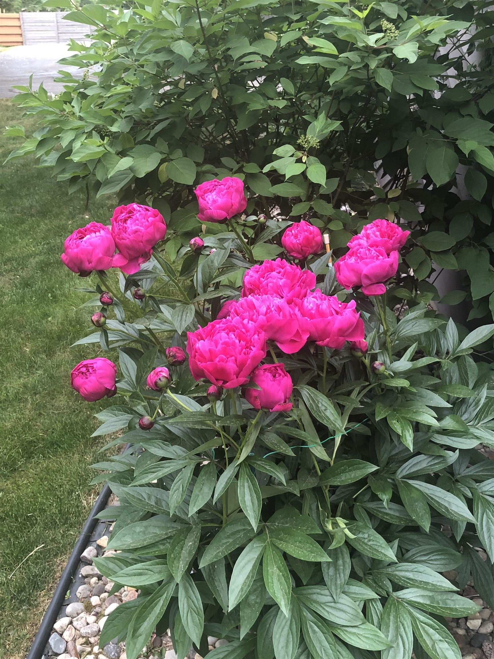 841 East Windfield Place Appleton, WI 54911 - Photo 33 of 42