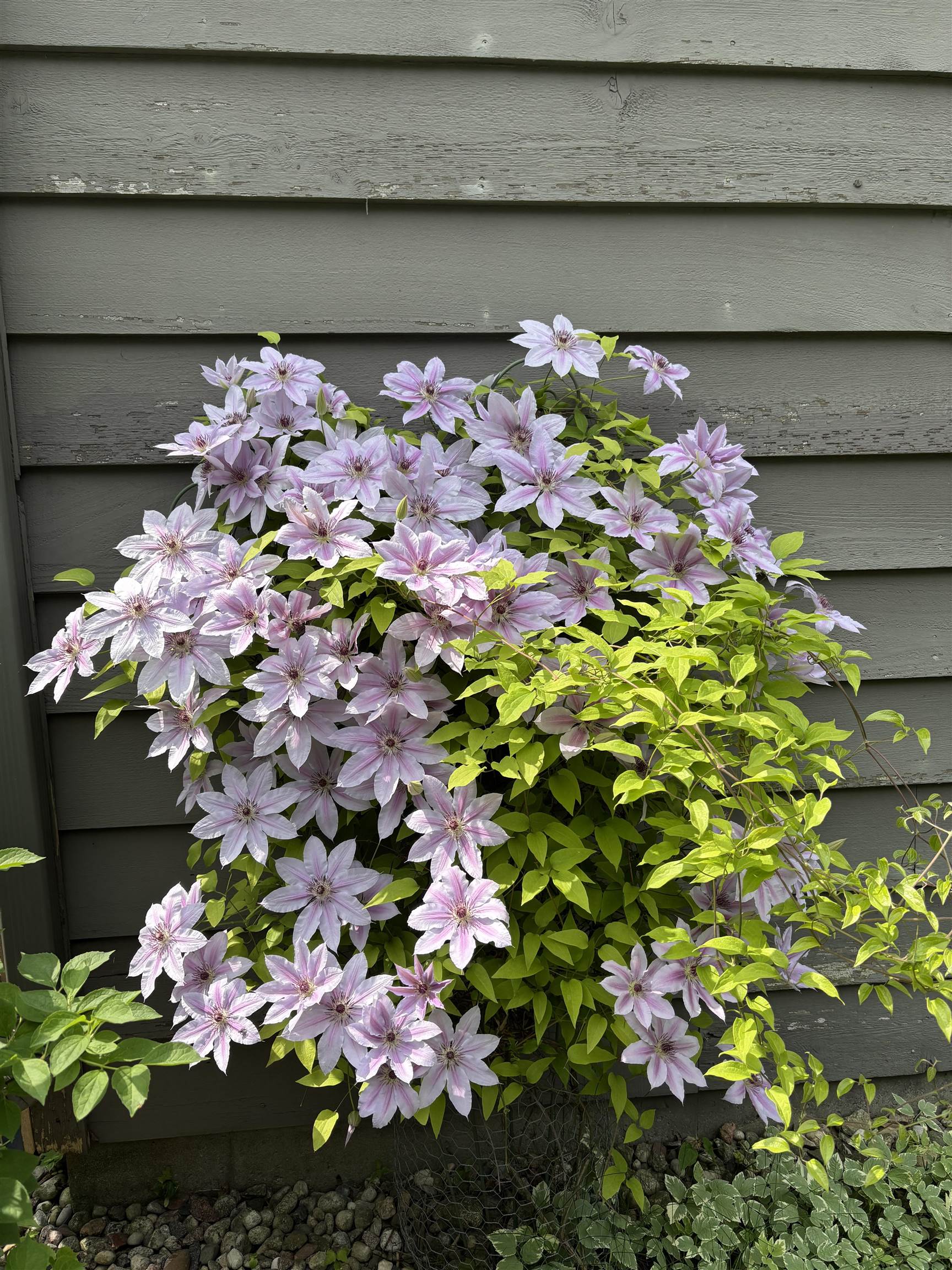 841 East Windfield Place Appleton, WI 54911 - Photo 34 of 42