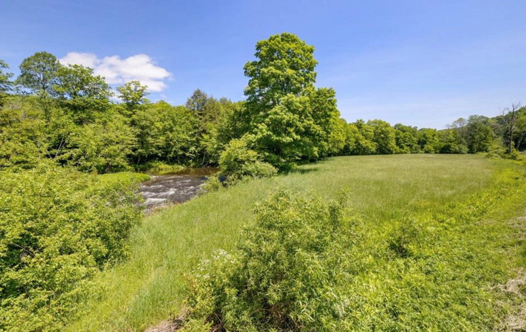2018 Beaverkill Road Livingston Manor, NY 12758 - Photo 12 of 30 a view of outdoor space and yard