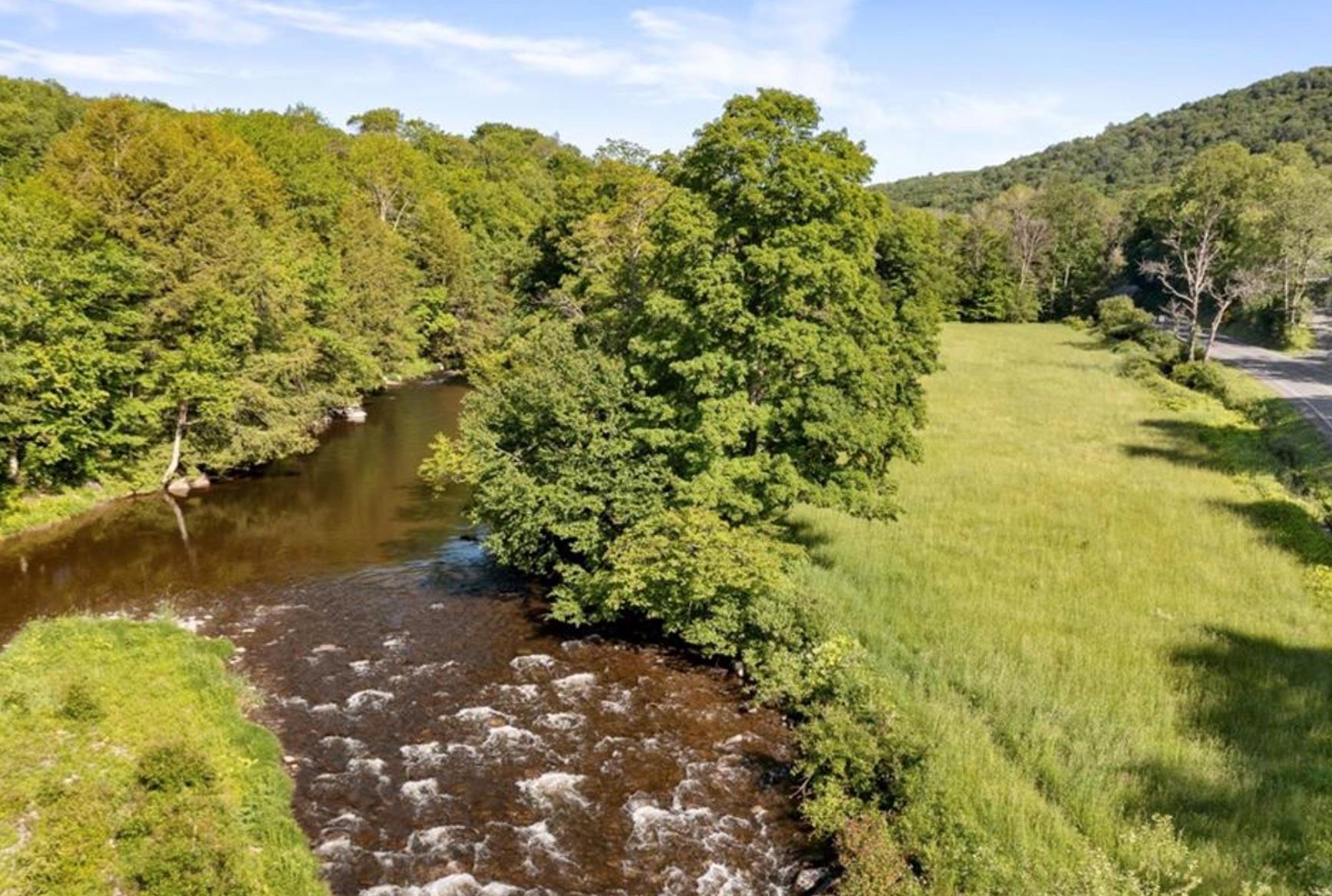 2018 Beaverkill Road Livingston Manor, NY 12758 - Photo 14 of 30 a view of a lake with a mountain