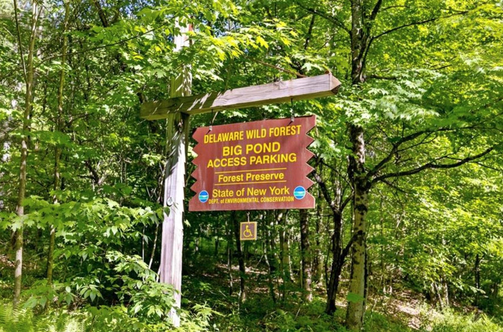 2018 Beaverkill Road Livingston Manor, NY 12758 - Photo 20 of 30 a sign that is sitting on a pole