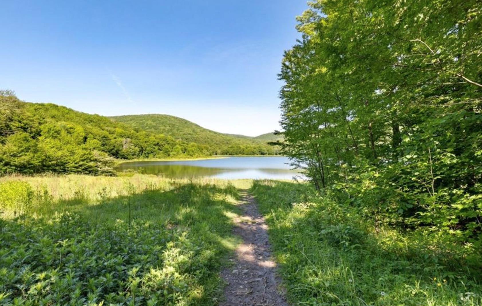 2018 Beaverkill Road Livingston Manor, NY 12758 - Photo 24 of 30 a view of a lake with a mountain in the background