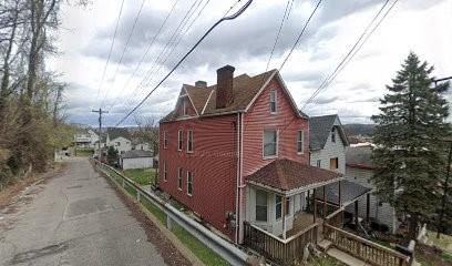 124 Cutler Street McKees Rocks, PA 15136 - Photo 1 of 9 a house with trees in front of it