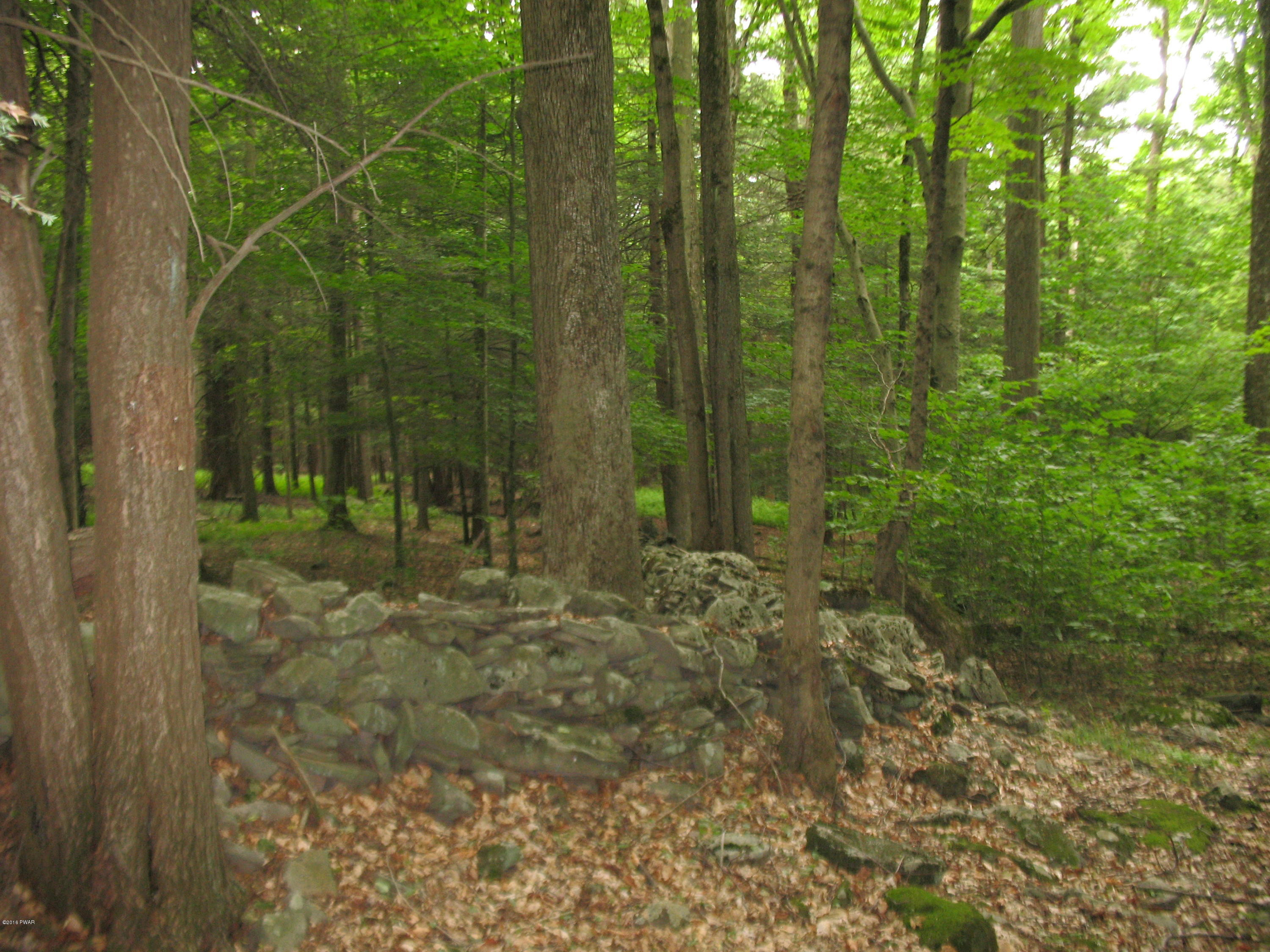 6 Phillips Road Newfoundland, PA 18445 - Photo 2 of 7 Peaceful Lot Close to I-84