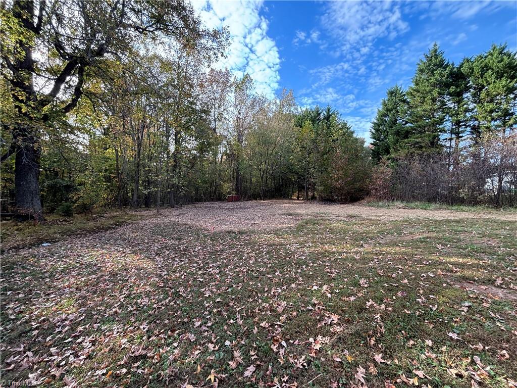 10064 Cherry Grove Road Reidsville, NC 27320 - Photo 20 of 20