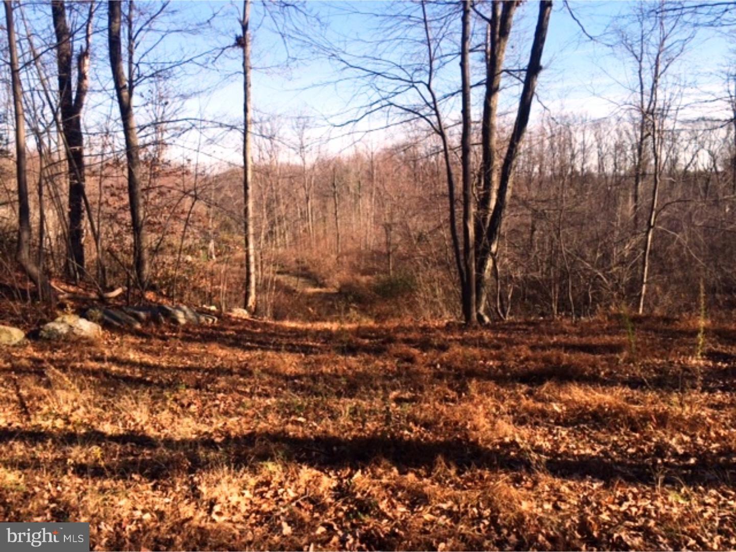 321 Blue Rocks Road Lenhartsville, PA 19534 - Photo 3 of 5 Gallery Image 3