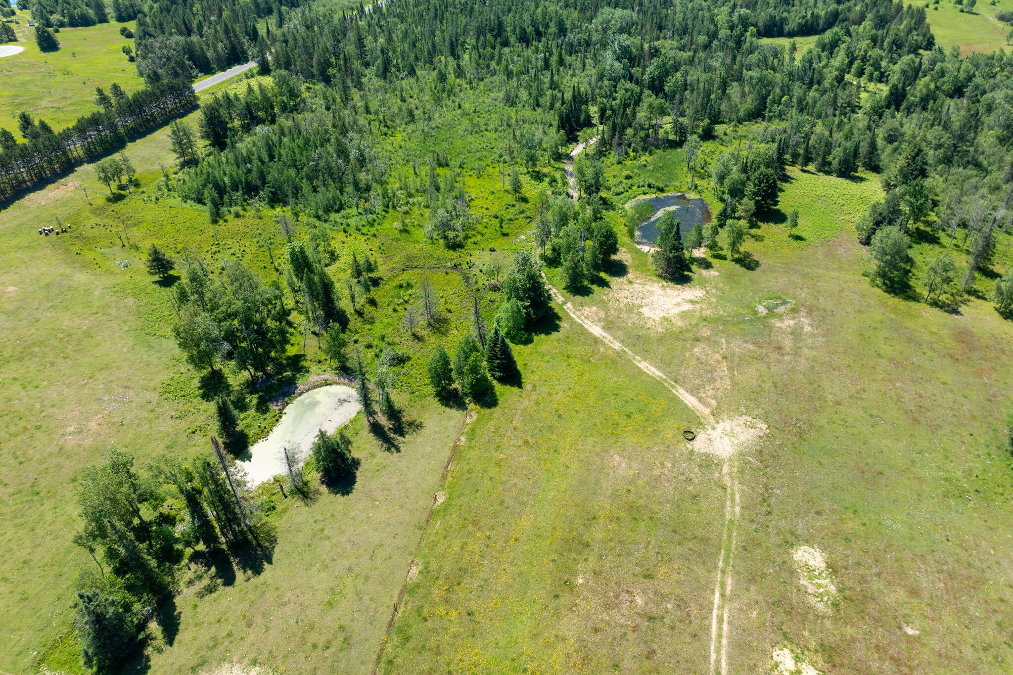 3948 East 46 Road Cadillac, MI 49601 - Photo 50 of 51 67