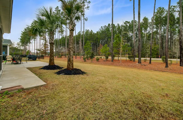 $419,900 | 1038 Magnolia Warbler Way, Ravenel, SC 29470
