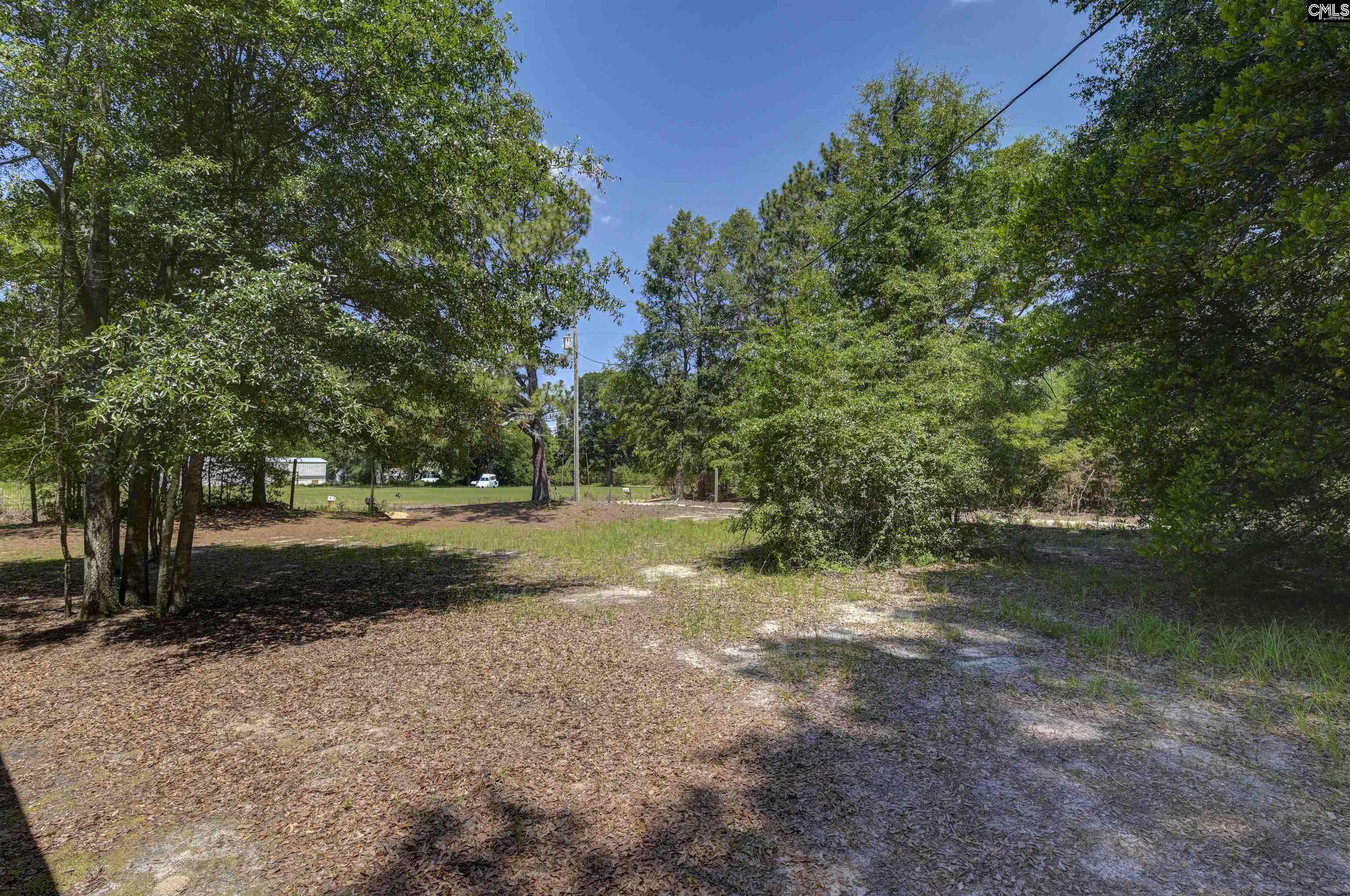 416 Otis Road Pelion, SC 29123 - Photo 41 of 48